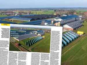 Hervindt zonnewarmte het momentum met Europees beleid als rugwind?