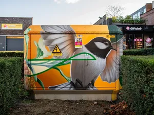 Netbeheerders gaan dit najaar vrijgekomen capaciteit op stroomnet verdelen