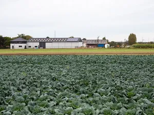De harde cijfers | Vlaanderen verhoogt jaargroei tot 618 megawatt, 90 megawatt geïnstalleerd in eerste kwartaal