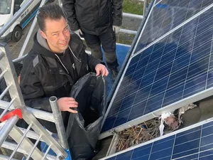 Onderhoud van pv voor consumenten: ‘Je wordt er niet rijk van, maar het belang is groot’