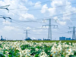 Weer ruimte op stroomnet Limburg en Brabant: TenneT vindt 1.700 megawatt extra ruimte