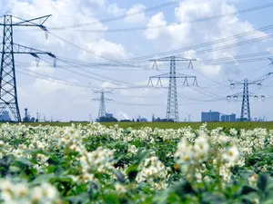 Stroomnet provincie Zuid-Holland vol voor grootverbruikers