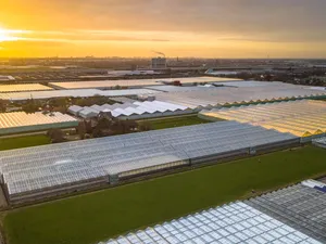 De harde cijfers | Aantal glastuinbouwers met zonnepanelen verdubbeld in 5 jaar tijd