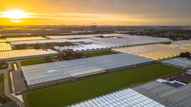 © Rudmer Zwerver | Dreamstime.com