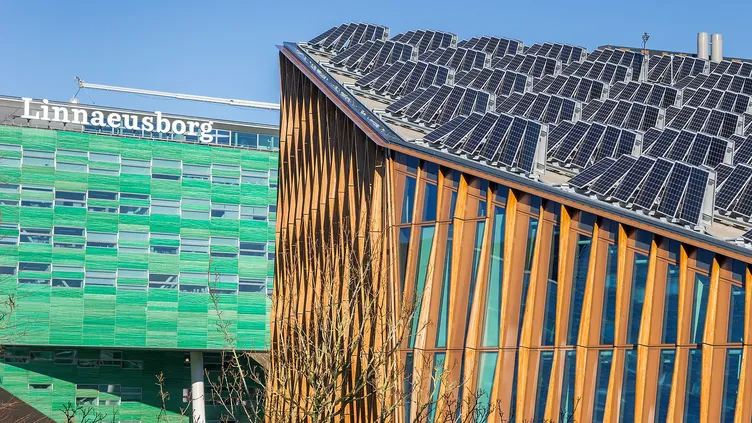 © Venemama | Dreamstime.com