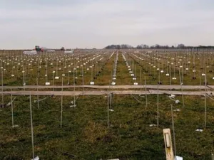 Startschot voor bouw zonnepark Belvédère: Volta Solar plaatst 40.000 zonnepanelen