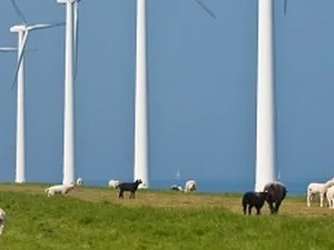 De WindUnie, Energy Storage NL en Greenchoice: haalbaarheidsonderzoek naar opslag windenergie