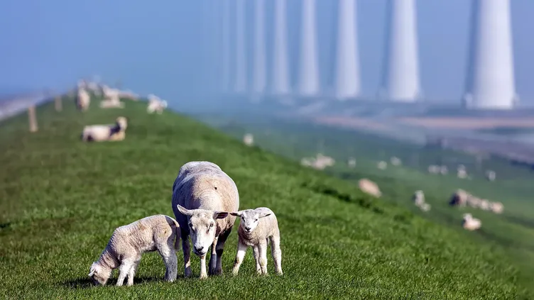 © T.w. Van Urk | Dreamstime.com