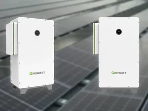 Growatt bereikt wereldwijde koppositie in residentiële omvormermarkt