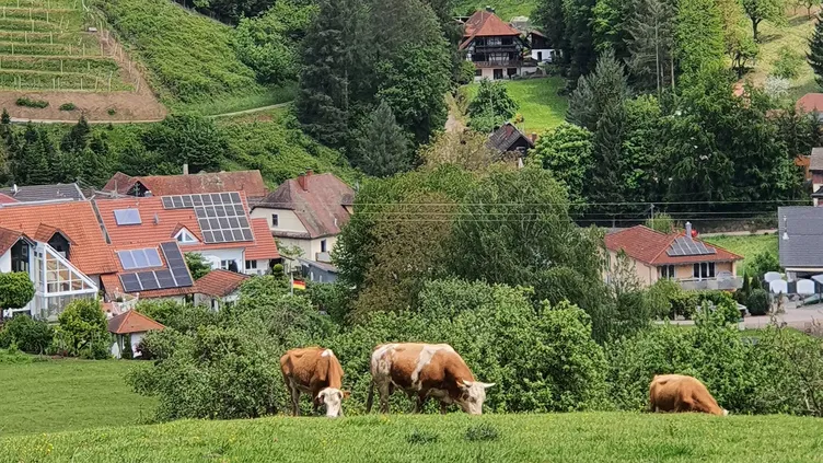 © Lyefstudio | Dreamstime.com