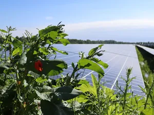 Gemeente Hengelo start aanbesteding voor zonnepark van 15 megawattpiek