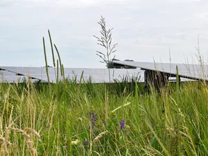 TPSolar start bouw zonnepark van 50 megawattpiek in Zuidvelde