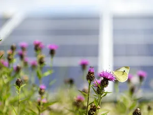 Europa ziet aandeel hernieuwbare elektriciteit dalen