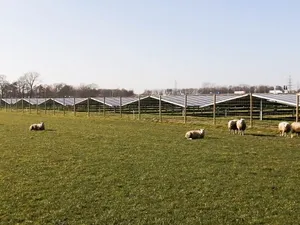 Solarcentury start stroomproductie Zonneweide IJsseldijk op