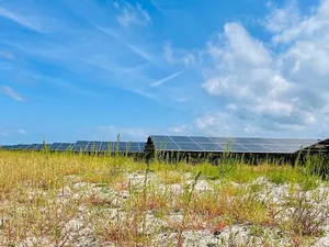 Batterij op Strandeiland Amsterdam verbindt zonnepark van energiecoöperatie met buurtbewoners