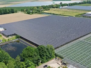 Primeur Noordoostpolder: 20.000 zonnepanelen op broeikas voor Zonnewijzer