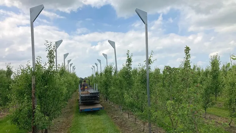 © Zon op Fruit